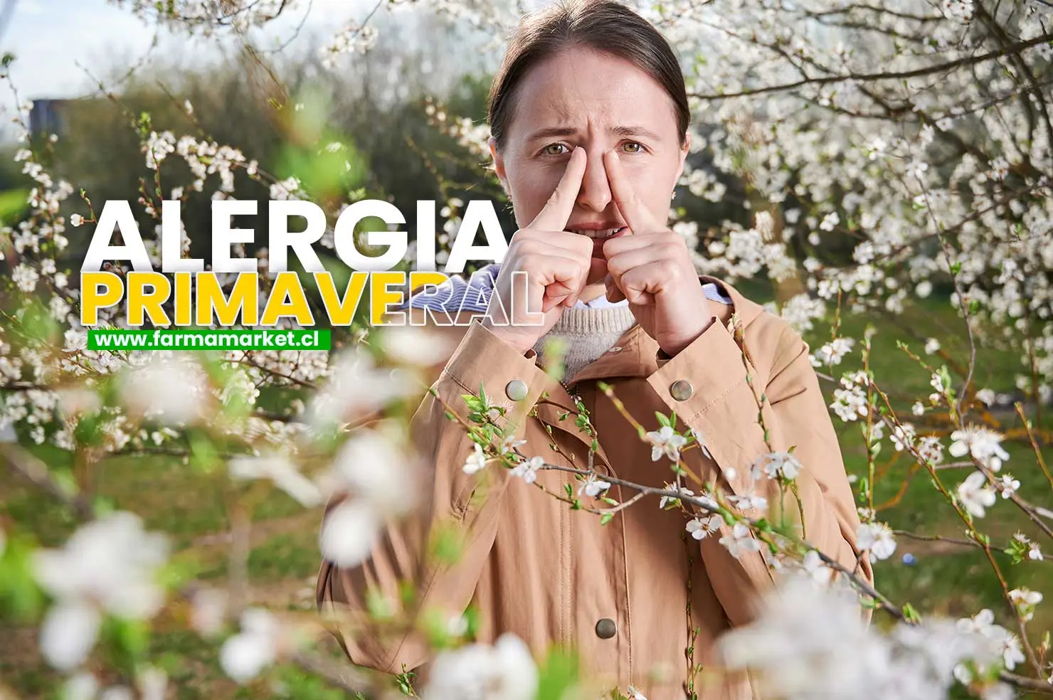 Como prevenir la alergia primaveral