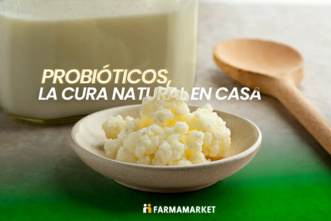 probióticos la cura natural en casa y a bajo costo